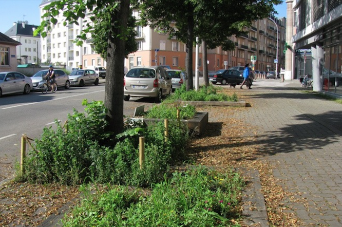 Bacs à adopter, rue de l'Hôpital Militaire à Strasbourg - Strasbourg ça pousse