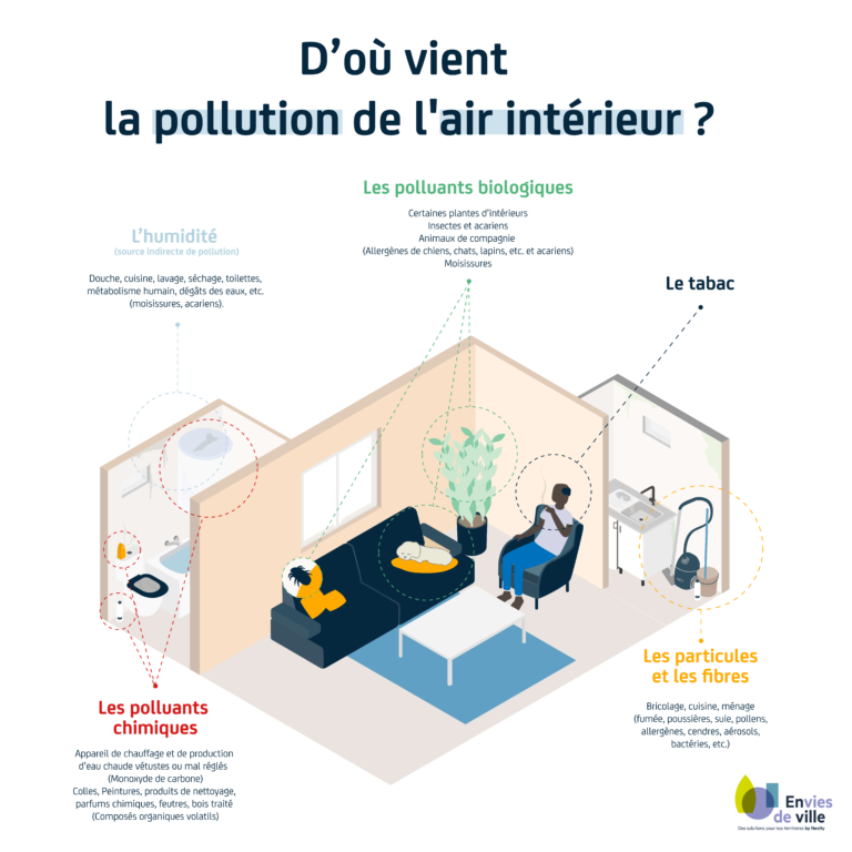 #Infographie : Quelles sont les causes de la pollution de l'air ...