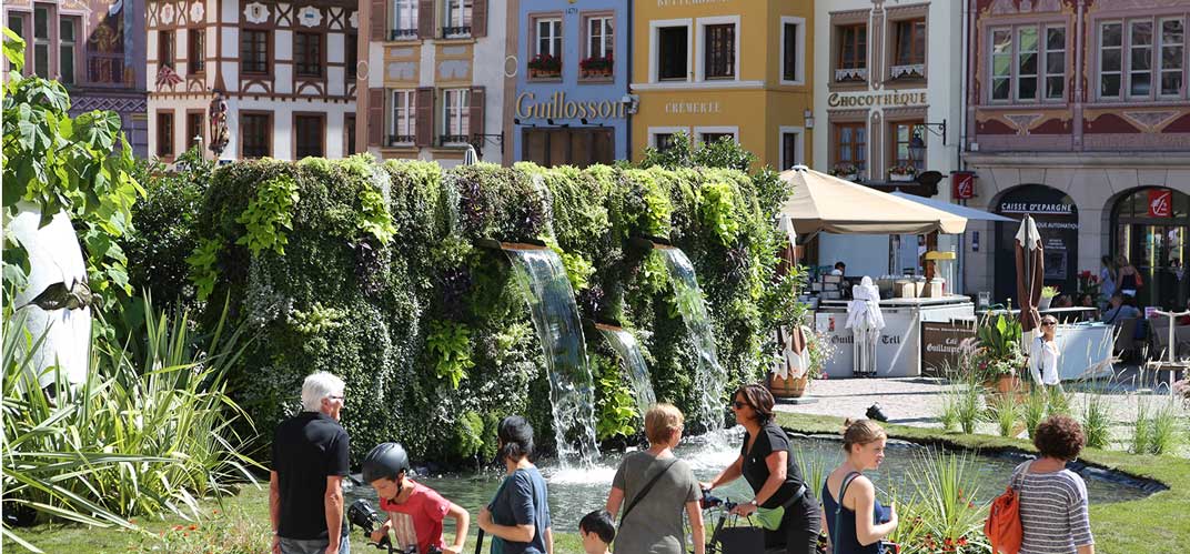 Vue d'une fontaine végétalisée dans le centre-ville de Mulhouse (©Thomas Itty)