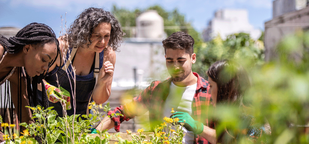 actions pour le climat