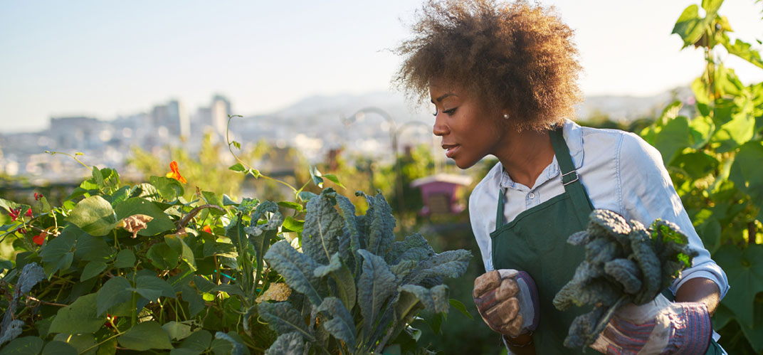 Une femme de profil dans un potager avec en arrière-plan une grande ville , pour illustrer cet article sur l'agriculture urbaine.