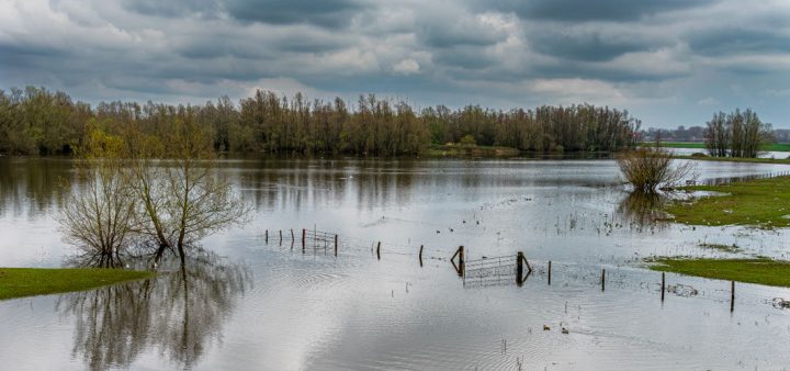 Comment prévenir les inondations par la nature ? Dans le Pas-de-Calais, en Loire-Atlantique et ailleurs, les cours d’eau débordent et nous forcent à mieux prévenir le risque d’inondations. Les ouvrages traditionnels de génie civil montrent leurs limites pour contenir ces phénomènes climatiques extrêmes. Les solutions fondées sur la nature (SFN) offrent de nouvelles perspectives. Coup d’œil international.