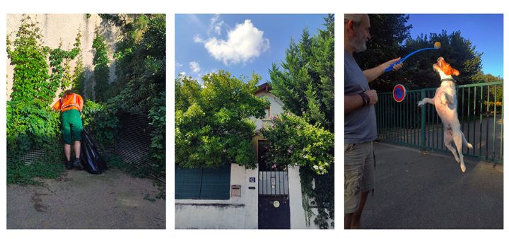Les photographies de Timothée Mathelin qui a troqué le graphisme et la photo pour un poste aux espaces verts de Villeurbanne.