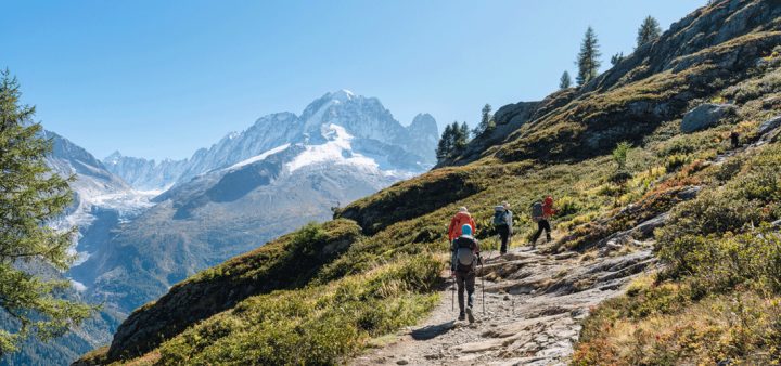 Ecologie : 5 ouvrages à glisser dans son sac pour partir en randonnée cet été.