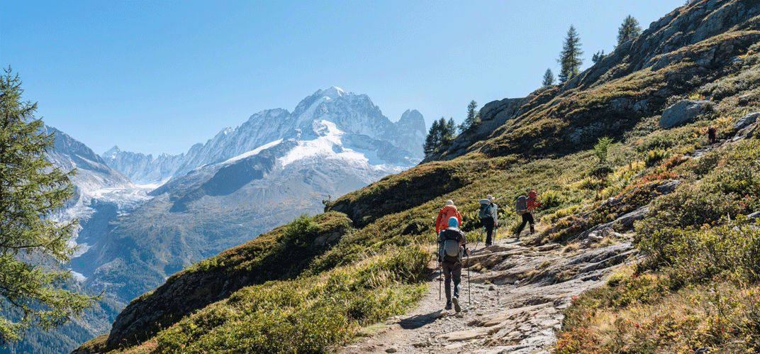 Ecologie : 5 ouvrages à glisser dans son sac pour partir en randonnée cet été.
