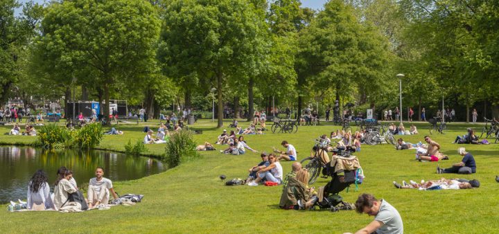 Bien-être territorial : des citoyens et citoyennes profitant du soleil sur les pelouses d'un parc public